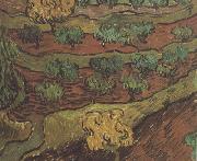 Vincent Van Gogh Olive Trees against a Slope of a Hill (nn04) France oil painting artist